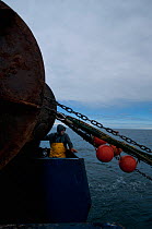 Fisherman hauling dragger net back onto fishing trawler. Stellwagen Bank, New England, United States, North Atlantic Ocean, December 2011. Model released.