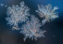 Ice crystals forming on window, Jyvaskya, Keski-Suomi, Lansi- ja Sisa-Suomi / Central and Western Finland, Finland. January