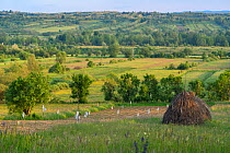 Landscape of the Tarcu mountains nature reserve, Natura 2000 area, Southern Carpathians, Romania, May 2014.