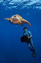 Underwater cameraman filming Loggerhead turtle (Caretta caretta) Los Gigantes, South Tenerife, Canary Islands, Atlantic Ocean.