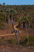 Tourists walking along trail, El palmar National Park, Entre Rios Province, Argentina, August 2009.