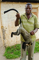 Man holding female De Brazza's monkey (Cercopithecus neglectus) killed for bushmeat. Road from Brazzaville to Mbomo, Republic of Congo (Congo-Brazzaville), Africa, May 2013.