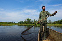 Guide paddling canoe in Lekoli River, Republic of Congo (Congo-Brazzaville), Africa, June 2013.