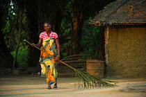Woman sweeping with palm leaf, Republic of Congo (Congo-Brazzaville), Africa, June 2013.