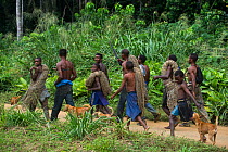 Ba'Kola Pygmies with traditional duiker hunting nets. Mbomo, Odzala-Kokoua National Park, Republic of Congo (Congo-Brazzaville), Africa, June 2013.