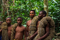 Ba'Kola Pygmies with traditional duiker hunting nets. Mbomo, Odzala-Kokoua National Park, Republic of Congo (Congo-Brazzaville), Africa, June 2013.