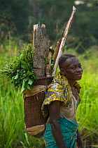 Local woman carrying traditional basket, Republic of Congo (Congo-Brazzaville), Africa, June 2013.