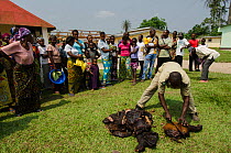 Guard distributing confiscated bushmeat at hospital near Makoua, Republic of Congo (Congo-Brazzaville), Africa, June 2013.