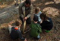 Children looking at Eastern diamondback rattlesnake (Crotalus adamanteus) held by Chris Jenkins in snake restraining tube, Little St Simon's Island, Barrier Islands, Georgia, USA, March 2014.