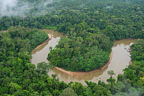 Aerial view of Tiputini River and surrounding Rainforest. Yasuni National Park, Amazon Rainforest, Ecuador, South America