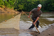 Dr Kelly Swing seine net fishing for research. Tiputini River, Yasuni National Park, Amazon Rainforest, Ecuador, South America