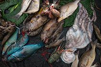 Reef fish, lobster and octopus for sale, Suva Seafood Market, Viti Levu, Fiji, South Pacific, April 2014