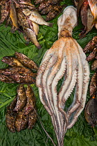 Reef fish and octopus for sale, Suva Seafood Market, Viti Levu, Fiji, South Pacific, April 2014.