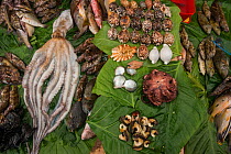 Mixed reef fish, shellfish and octopus for sale, Suva Seafood Market, Viti Levu, Fiji, South Pacific, April 2014.