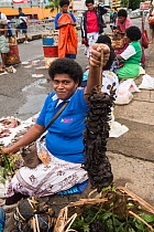Local woman with string of live Mud crabs (Scylla sp) for sale, Suva Seafood Market, Viti Levu, Fiji, South Pacific, April 2014.