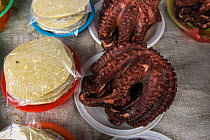 Octopus (Octopoda) for sale, Suva Seafood Market, Viti Levu, Fiji, South Pacific, April 2014.