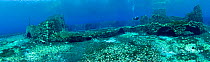 Scuba diver swimming over remains of submerged mill, Lago di Capo D'Acqua, Capestrano, Aquila, Abruzzo, Italy, May 2006.