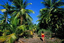 Woman walking between palms on Astove island, Aldabra Atoll, Natural World Heritage Site, Seychelles, Indian Ocean.