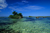 Small island inside the lagoon, Aldabra Atoll, Natural World Heritage Site, Seychelles, Indian Ocean.