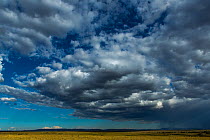 Rain clouds moving across the plains, Masai-Mara Game Reserve, Kenya. September 2013.