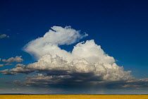Clouds over the plains in the dry season, Amboseli National Park, Kenya. October 2010.