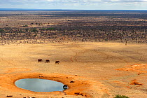 Aerial view of African elephants (Loxodonta africana) and African buffalo (Syncerus caffer) at a water hole during the dry season, Tsavo East National Park, Kenya. October.
