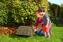 Young boy watches as his mother positions Hedgehog shelter under garden hedge, Bristol, UK, October 2014. Model released.