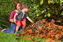 Young boy helping his mother to cover Hedgehog shelter with leaves under garden hedge, Bristol, UK, October 2014. Model released.