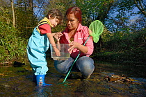 Young boy reaching into plastic tank held by his mother for Pond snails he has caught whilst fishing in stream, Bristol, UK, October 2014. Model released.