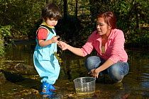 Young boy held by his mother as he peers at stone lifted from stream bed, Bristol, UK, October 2014. Model released.