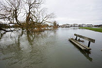 Bench in park flooded by River Thames, Chertsey, Surrey, UK, February 2014. (This image may be licensed either as rights managed or royalty free.)