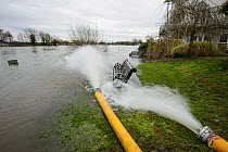 Hoses used to pump floodwater from River Thames away from houses, Chertsey, Surrey, UK, February 2014.