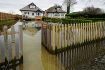 Homes flooded by River Thames, Chertsey, Surrey, UK, February 2014.