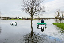 Man sat on picnic bench in park flooded by River Thames, Chertsey, Surrey, UK, February 2014.