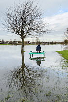Man sitting on picnic bench in park flooded by River Thames, Chertsey, Surrey, UK, February 2014.