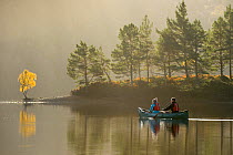 Couple canoeing on Loch Beinn a' Mheadhoin with Birch (Betula pendula) and Scots pines (Pinus sylvestris) on shore, Glen Affric, Highlands, Scotland, November 2014.