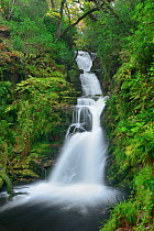 O'Sullivan's Cascade, Killarney National Park, County Kerry, Republic of Ireland. November 2013.