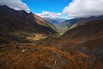 Valley near Mount Kawakarpo, Meili Snow Mountain National Park, Yunnan Province, China. October 2009