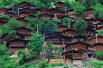 Houses of the Lisu people tightly packed together on slope, Weixi county, Yunnan Province, China. July 2009