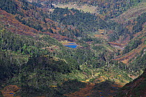 Landscape of forest and lakes, Mount Kawakarpo, Meili Snow Mountain National Park, Yunnan Province, China. October 2009