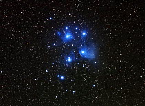 The Pleiades or Seven Sisters (M45), a star cluster in the constellation Taurus, taken 26 September 2014 from Eastern Colorado. Taken with digital focus stacking.