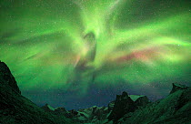 Aurora borealis / Northern Lights over Brooks Range, Gates of the Arctic National Park, Alaska, USA, September 2014.