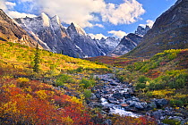 Autumnal landscape with snow, Arrigetch Peaks region of Brooks Range, Gates of the Arctic National Park, Alaska, USA, August 2014.