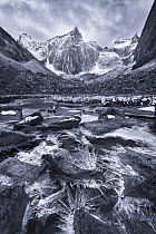 Black and white photograph of Ice crystals up to 12 inches long along a small creek in a remote valley, Brooks Range, Gates of the Arctic National Park, Alaska, August 2014.
