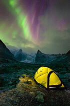 Aurora Borealis over yellow tent lit from within and mountainous scenery, Arrigetch Peaks, Gates of the Arctic National Park, Brooks Range, Alaska, USA, August 2014.