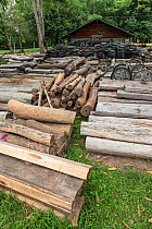 Siam rosewood tree (Dalbergia cochinchinensis) timber and motorcycle wheels, confiscated from poachers, stored as evidence, Thap Lan National Park, Dong Phayayen-Khao Yai Forest Complex, eastern Thail...