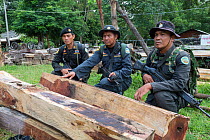 Thap Lan anti-poaching rangers with Siam rosewood tree (Dalbergia cochinchinensis) timber  confiscated from poachers, Thap Lan National Park, Dong Phayayen-Khao Yai Forest Complex, eastern Thailand, A...