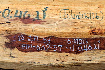 Siam rosewood tree (Dalbergia cochinchinensis) timber confiscated from poachers, marked for evidence, Thap Lan National Park, Dong Phayayen-Khao Yai Forest Complex, eastern Thailand, August.