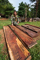 Thap Lan assistant chief Pattarapol Sunhua with Siam rosewood tree (Dalbergia cochinchinensis) timber confiscated from poachers, Thap Lan National Park, Dong Phayayen-Khao Yai Forest Complex, eastern...