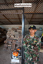 Pang Sida ranger Wisak Thongseekram at evidence store containing Siam rosewood tree (Dalbergia cochinchinensis) confiscated from poachers, Pang Sida National Park, Dong Phayayen-Khao Yai Forest Comple...